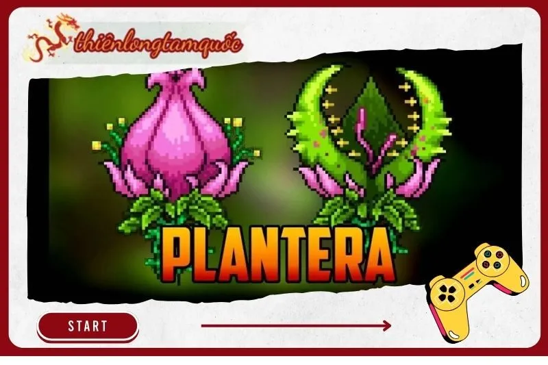 Plantera